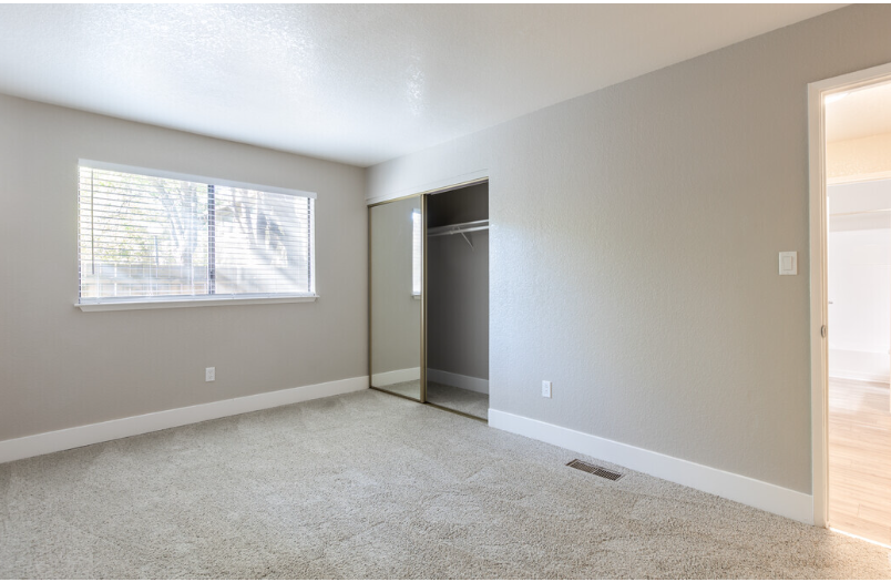 Large room with carpet, closet and window