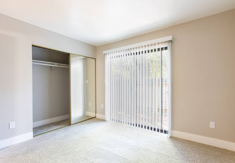 Large room with carpet, closet and window