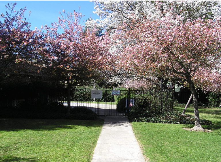 Landscaped sidewalk to building