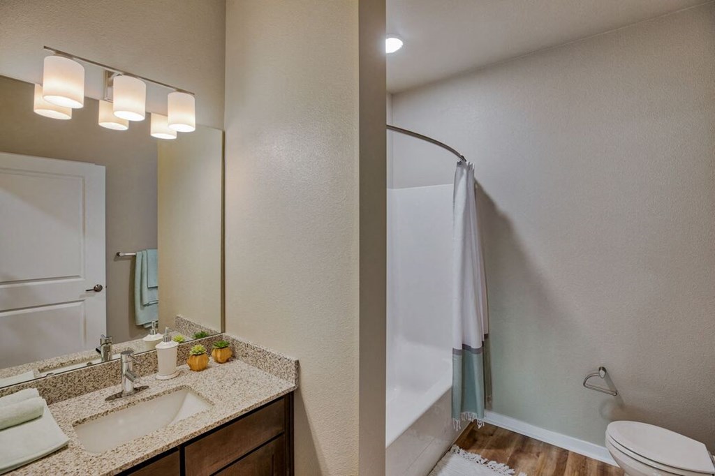 New Apartments in Airway Heights - Salish Flats - Bathroom with Seperate Shower Area, Vanity Mirror, and Wood-Style Floors