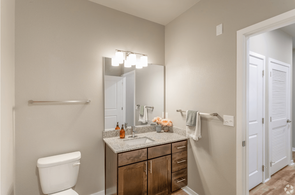 bathroom with single sink and lighting above mirror