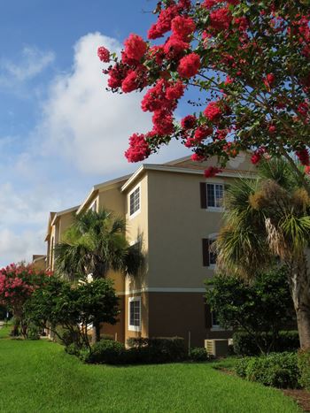 San Marco community exterior with lush landscaping at San Marco Apartments, Florida