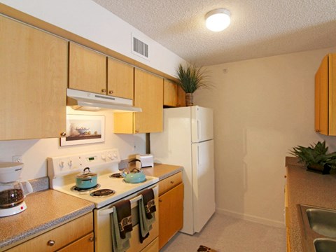 a kitchen with a stove and a refrigerator