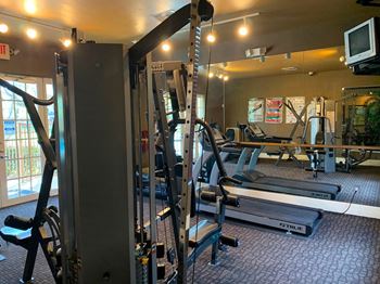 Sanctuary Cove fitness center with cardio and weight equipment
