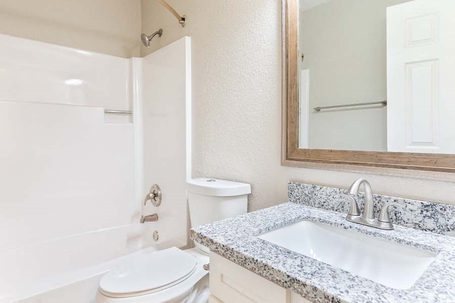 bathroom shower and vanity