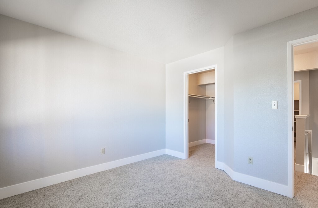 Bedroom with closet and carpet