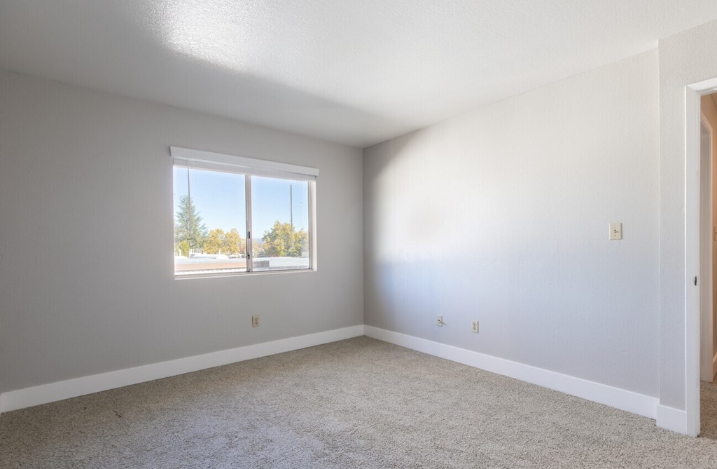 Bedroom with carpet and window