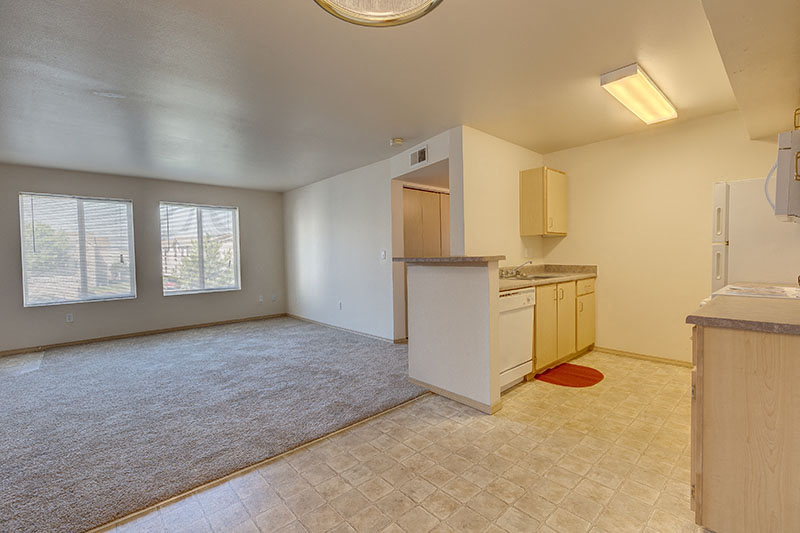 A kitchen area with a counter and a fridge.