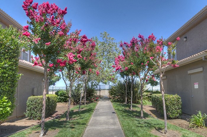 Nature Preserve Entrance | Stonelake Apartments in Elk Grove, California