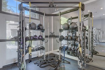 Fitness Center Free Weights | Stonelake Apartments in Elk Grove, California - Photo Gallery 5