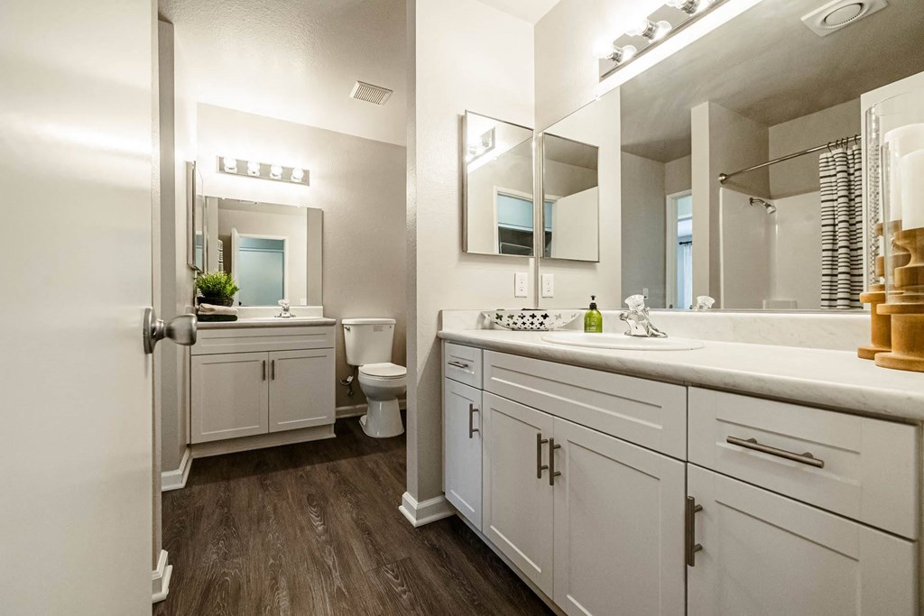 Bathroom at SYCAMORE GREENS APARTMENT HOMES, Vista, California
