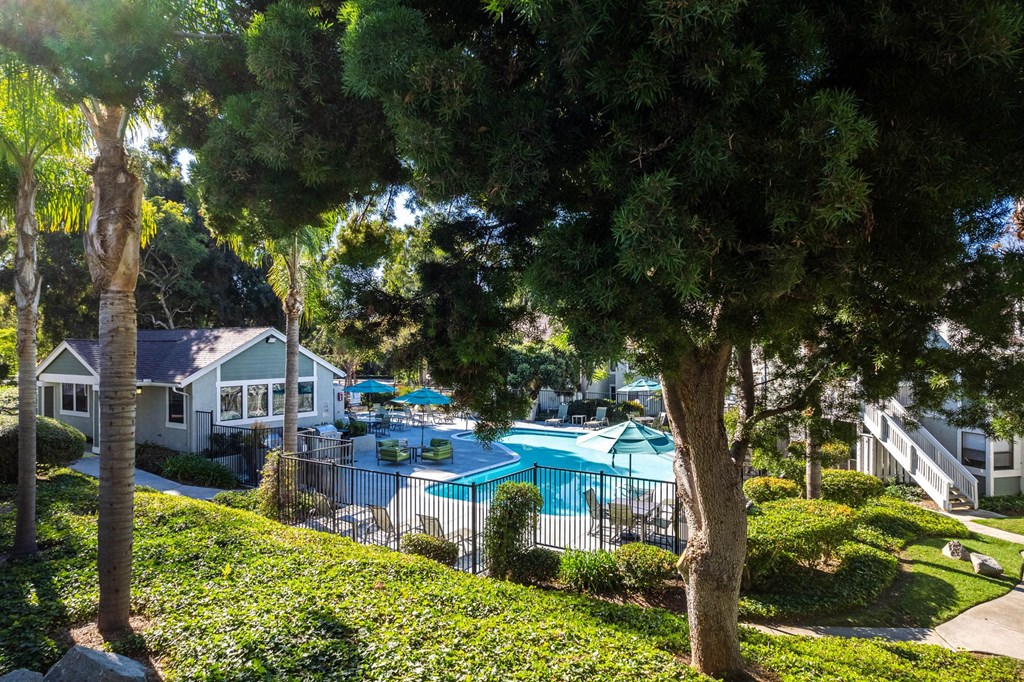 a view of the pool from a tree at SYCAMORE GREENS APARTMENT HOMES, Vista