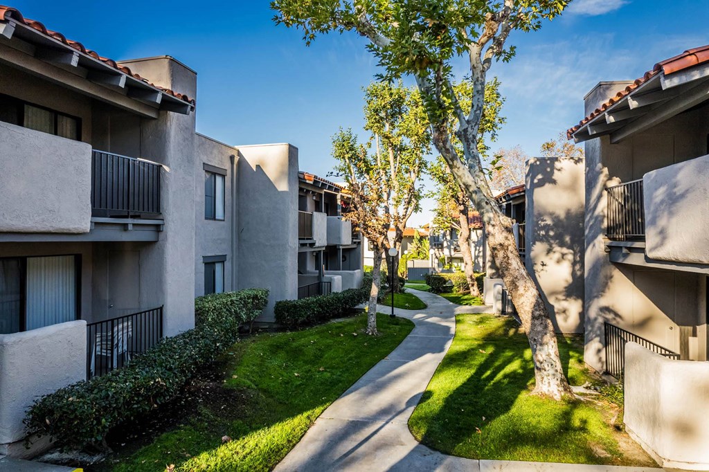 Courtyard at SYCAMORE LANE APARTMENT HOMES, California ? 