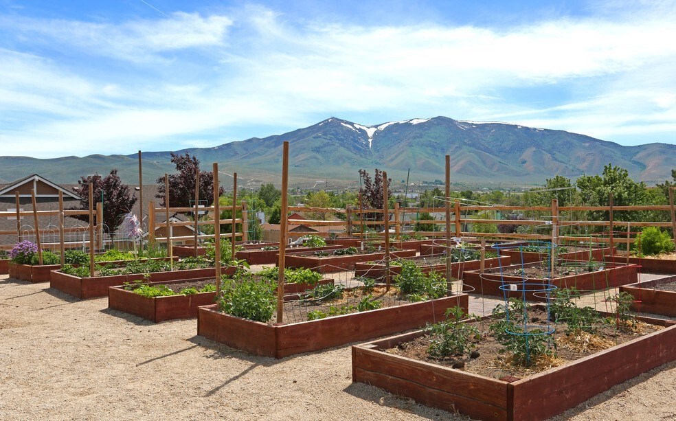 Community garden