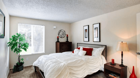 a bedroom with a bed and a plant and a window