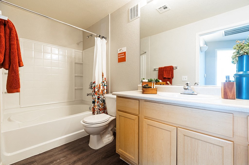 Bathroom vanity and shower