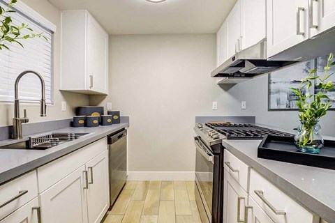 Modern Kitchen with Stainless-Steel Appliances Modern Kitchen with Stainless-Steel Appliances at The Edge on the Boulevard, Fremont, 94555