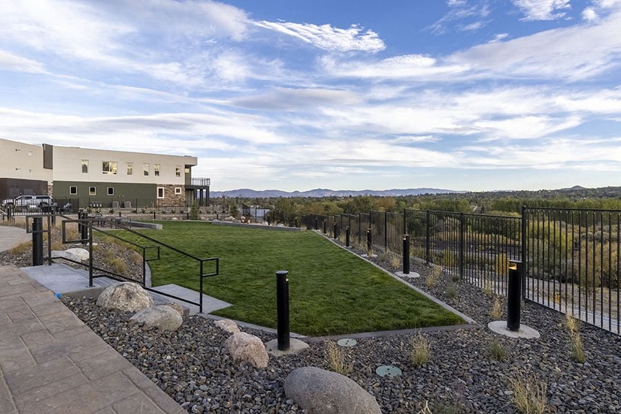 Landscape grass area