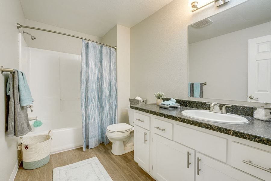 Bathroom vanity and shower at TOWNSHIP Apartments, CANBY, Oregon