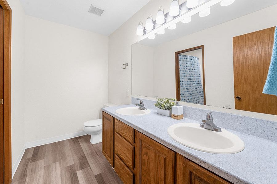 bathroom sink vanity 