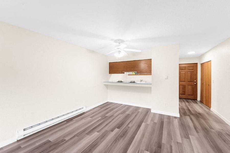 Living area and kitche 