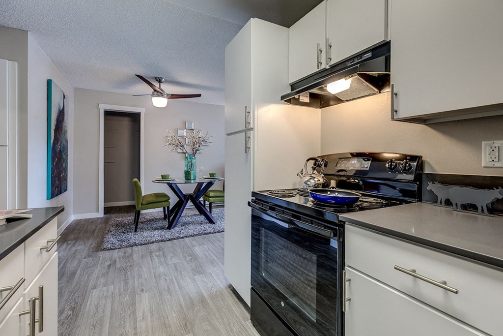 Renton Sage kitchen area with black appliances