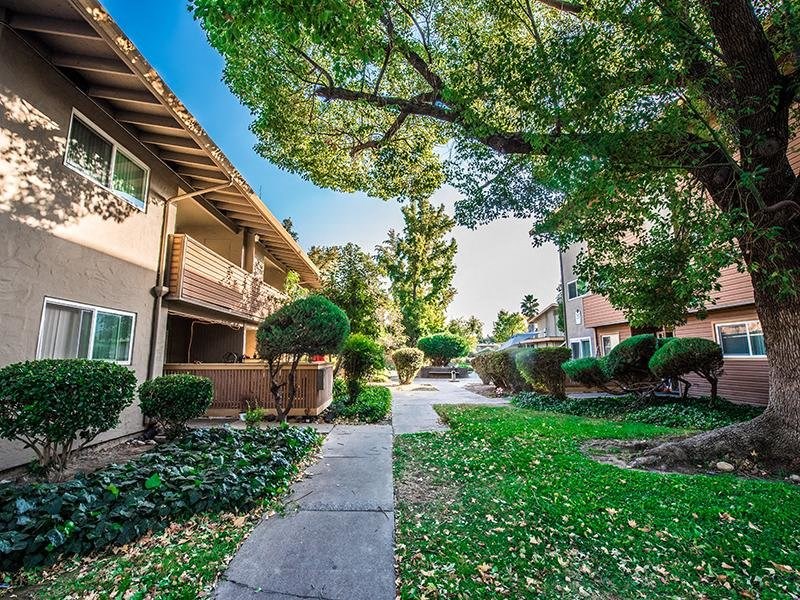 The Eleven Hundred pathways