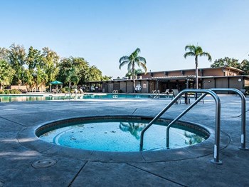 The Eleven Hundred pool area and spa - Photo Gallery 5