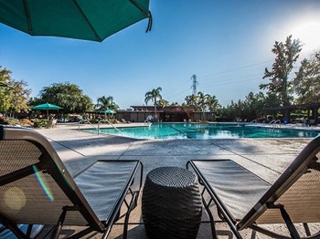 The Eleven Hundred pool area - Photo Gallery 6
