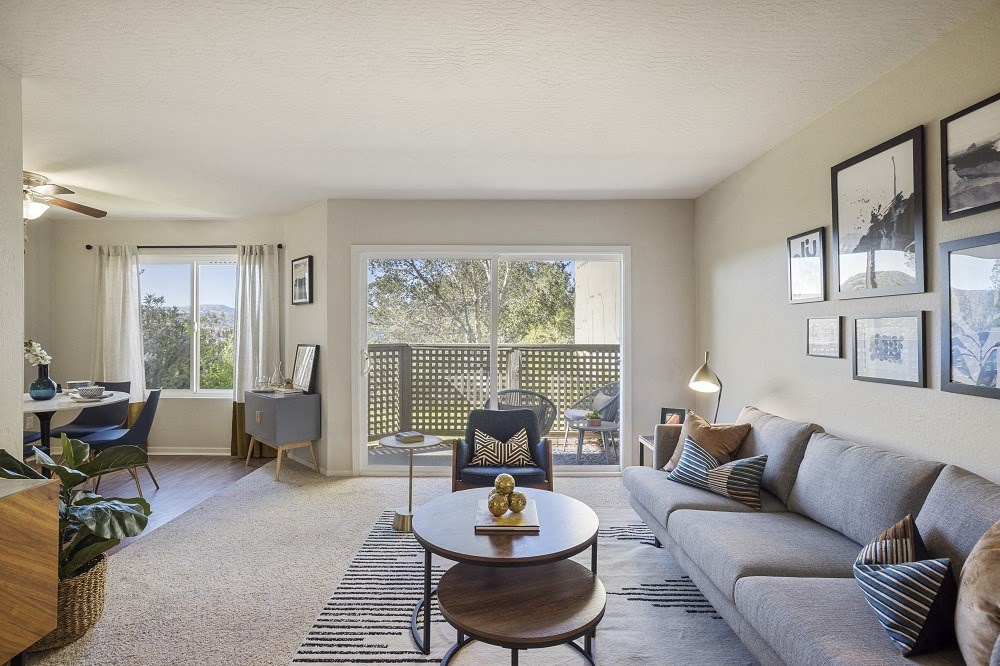 View at Marin living room