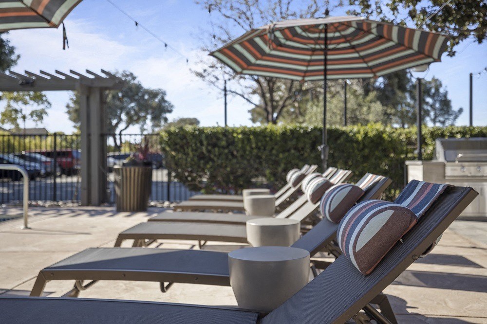 View at Marin pool lounge chairs
