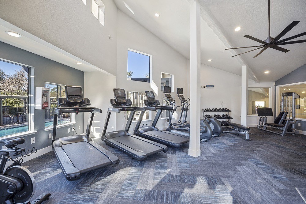 View at Marin fitness center