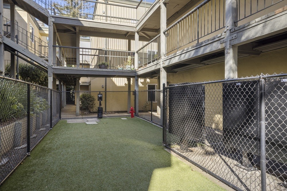 View at Marin pet park