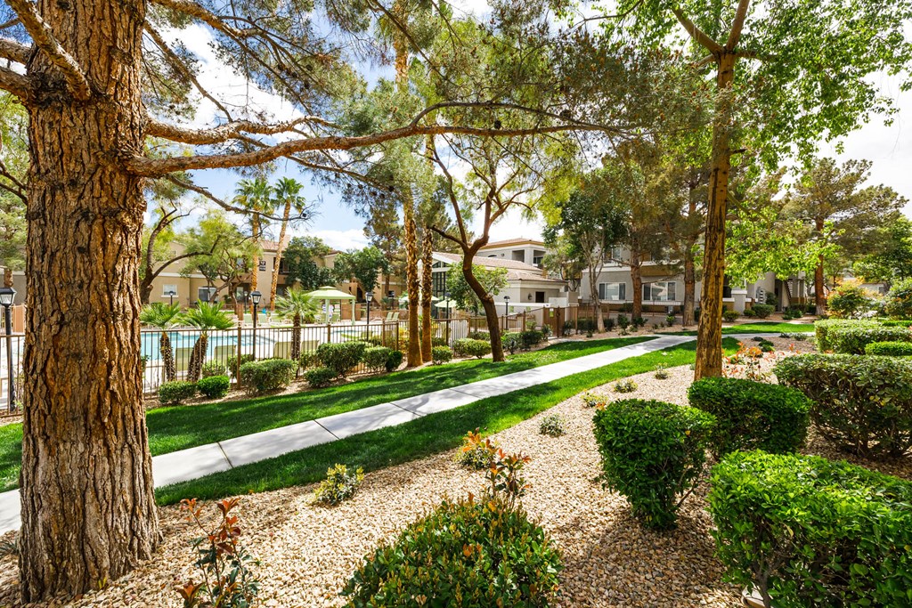 a view of a park with trees and a sidewalk