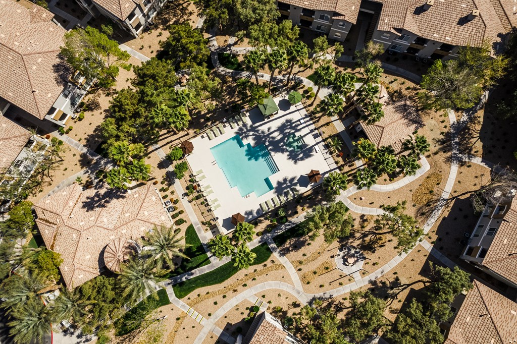 A swimming pool surrounded by palm trees and a grassy area.