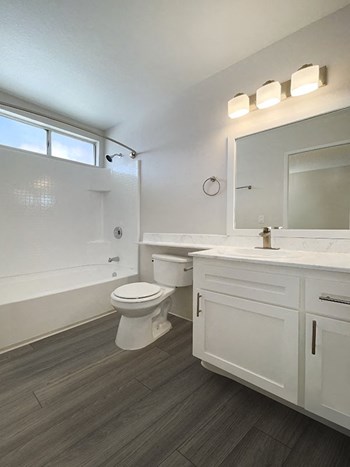 Bathroom vanity and shower - Photo Gallery 3