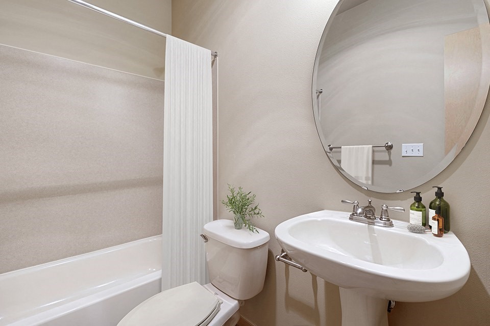 Bathroom tub and vanity