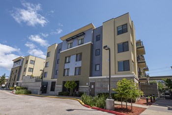 Exterior of building with potted landscape - Photo Gallery 2