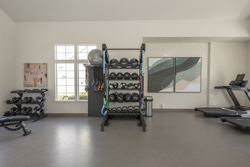 a fitness room with weights and a window