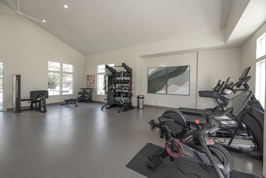 the gym has plenty of exercise equipment and windows