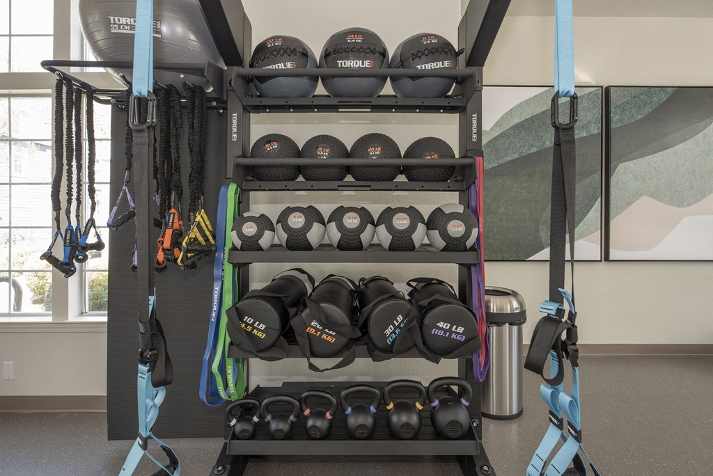 a rack of dumbbells in a gym