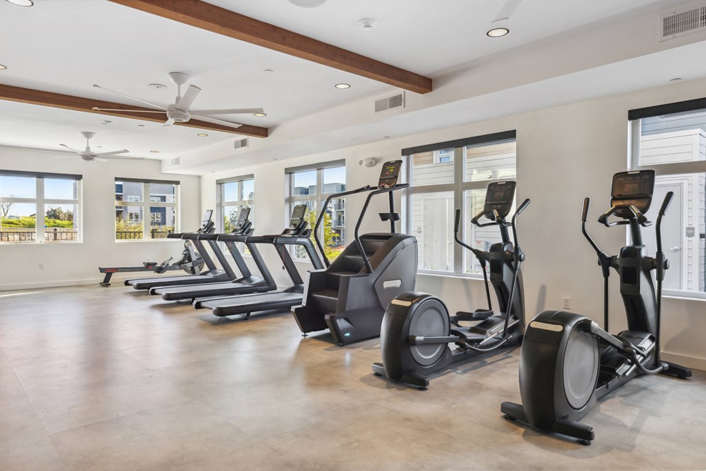 a gym with cardio ellipticals and windows in a house at 38° NORTH, Santa Rosa California