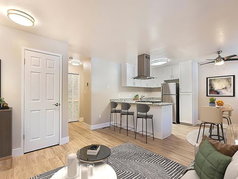 Kitchen and Living Room