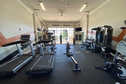 A gym with treadmills, weights, and exercise equipment.