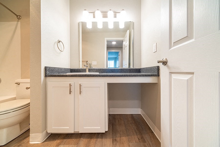 Bathroom sink vanity and shower