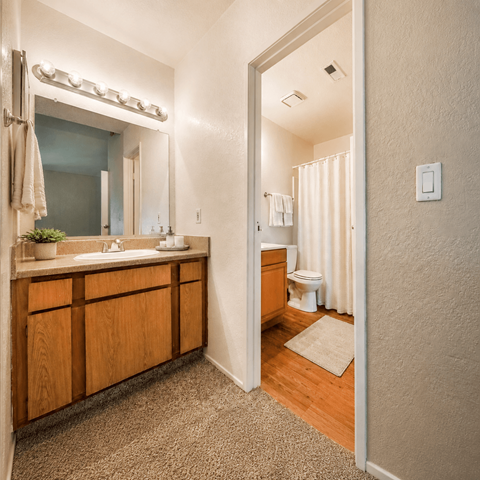 A bathroom with a sink, mirror, and toilet.