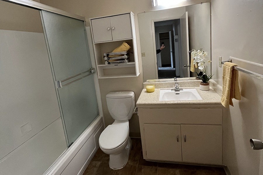 Bathroom vanity and shower