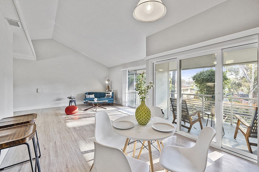 Bedroom dining and living room with large window
