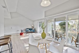 Bedroom dining and living room with large window
