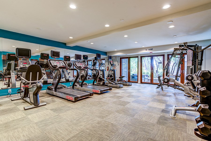 Apartments in Sunnyvale- Citra- Floor-to-Ceiling Windows, Fully Equipped Gym, and Padded Flooring